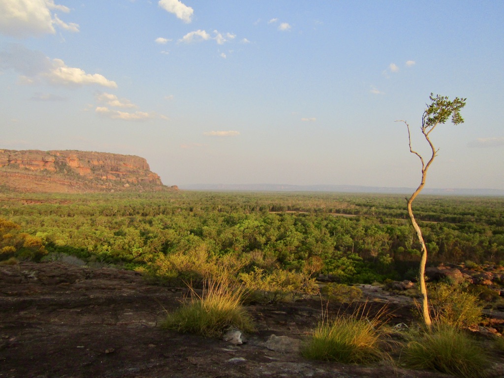 What to See in Kakadu National Park, Northern Territory - Away With Maja